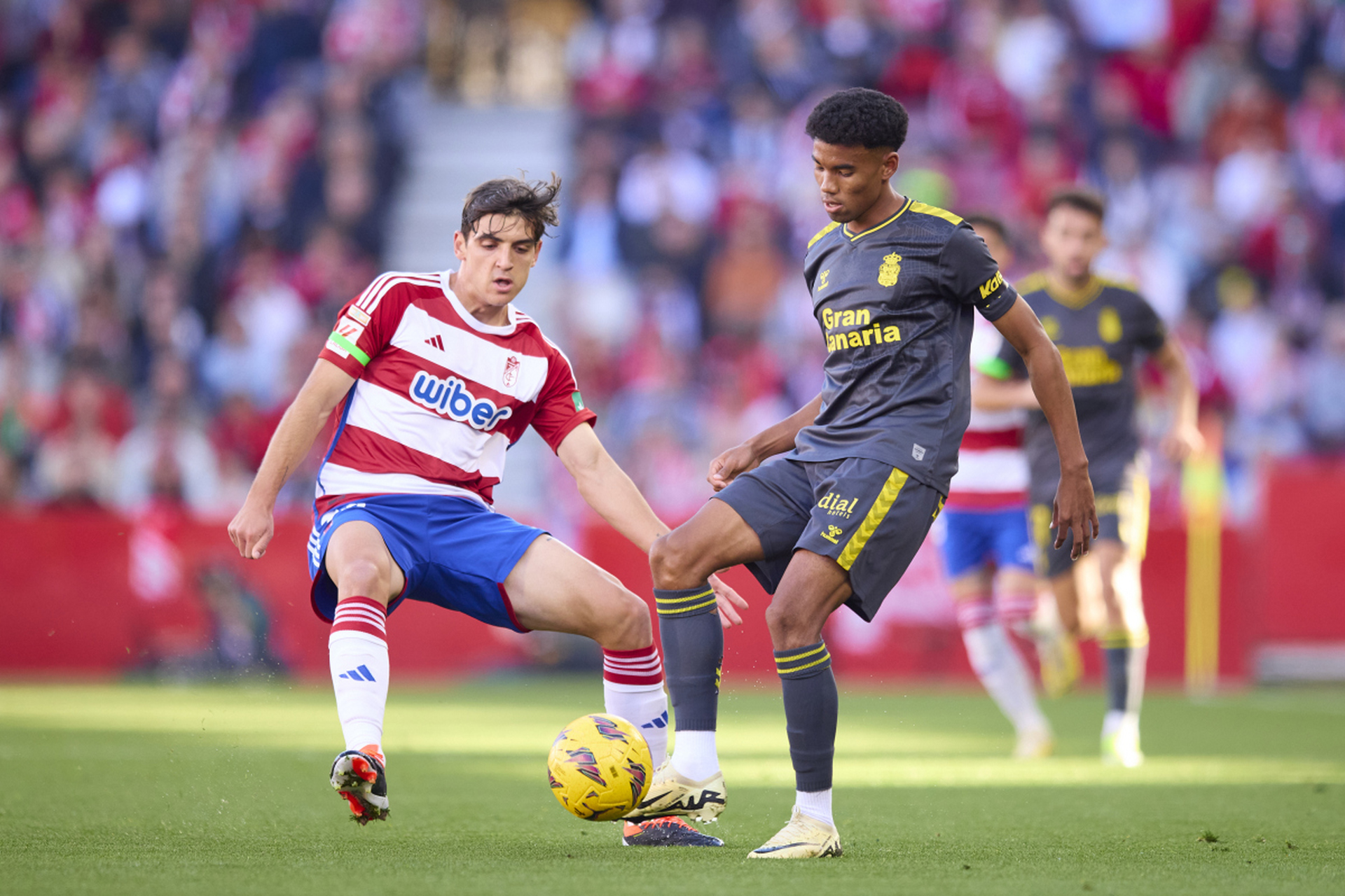 格拉纳达客场逼平皇家马德里,表现不俗的简单介绍 格拉纳达客场逼平皇家马德里,表现不俗的简单介绍