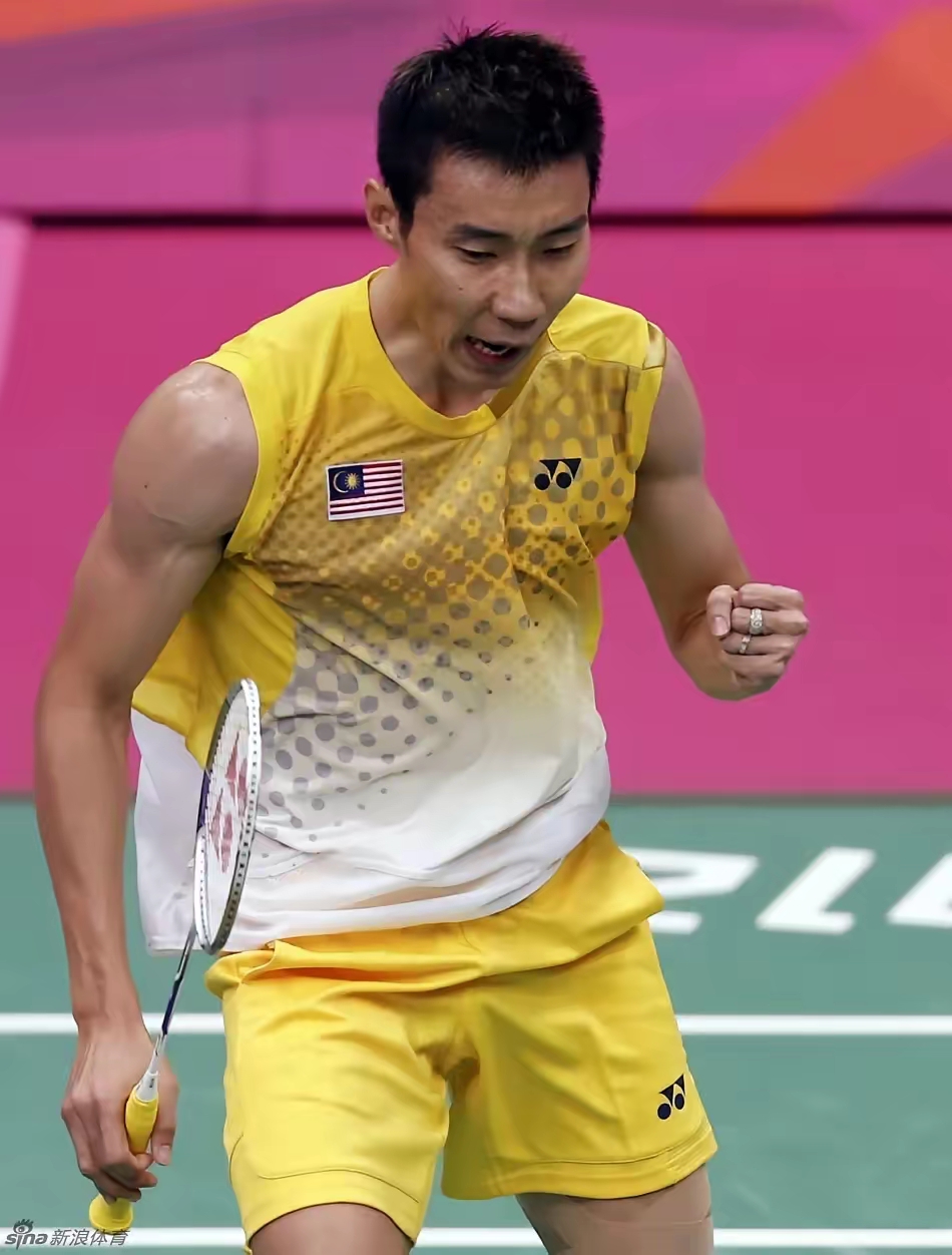 关于中国羽毛球队轻取法国羽毛球队，李宗伟惊艳世界的信息